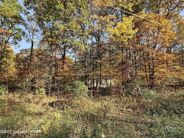 228 Victory Ln, Stroudsburg, PA 18360 - view of tree filled area