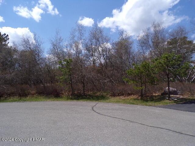LOT36 Pearson Ct, Albrightsville, PA 18210
