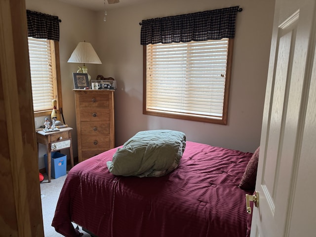 bedroom featuring carpet flooring