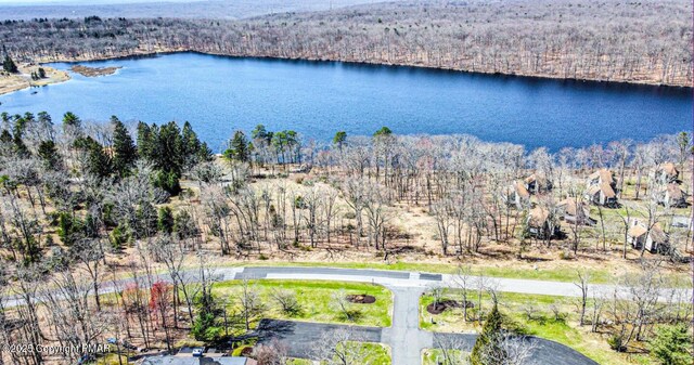 birds eye view of property featuring a water view and a wooded view