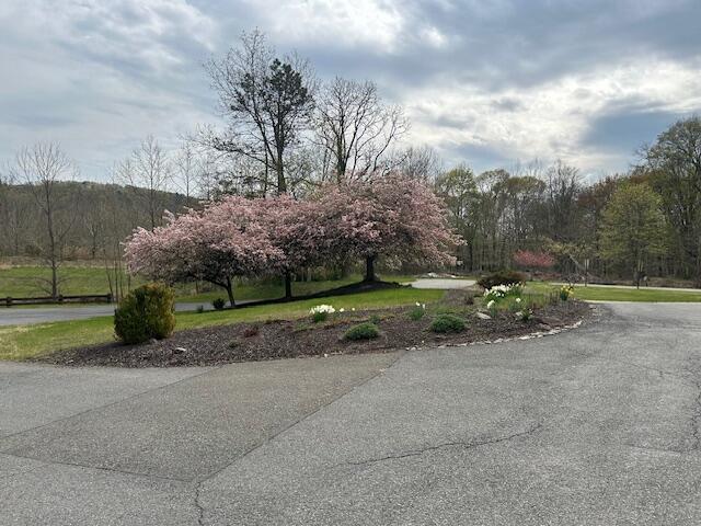 3 Village Cir Apt 408, Stroudsburg, PA 18360 - view of community