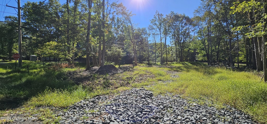 1 Dryden Dr, Albrightsville, PA 18210 - photo 3
