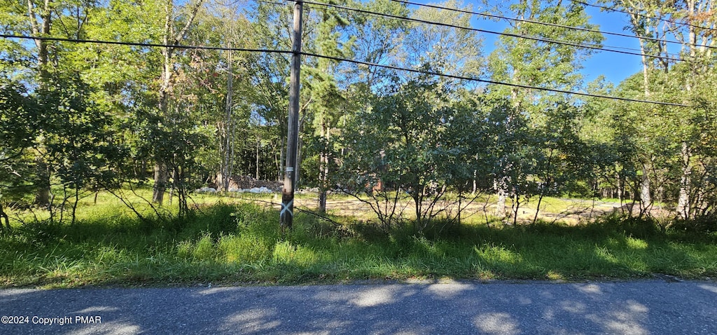 1 Dryden Dr, Albrightsville, PA 18210 - photo 4