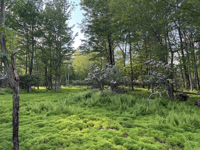 LOT10 Twilight Dr, Cresco, PA 18326 - photo 4