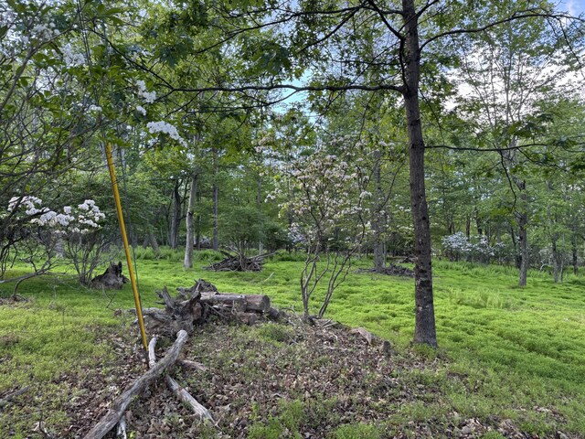 LOT10 Twilight Dr, Cresco, PA 18326 - photo 6