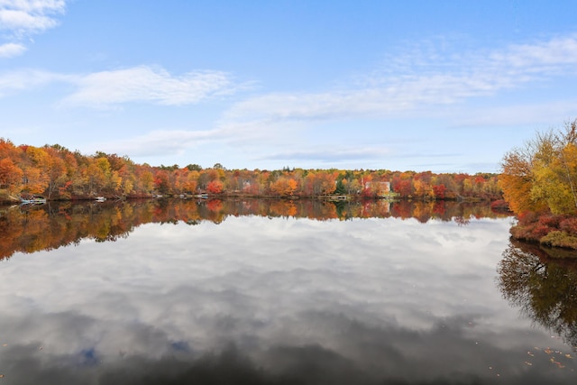 5175 White Birch Dr, Long Pond, PA 18334 - water view with a forest