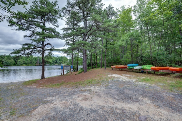 5175 White Birch Dr, Long Pond, PA 18334 - view of yard with a water view and a wooded view