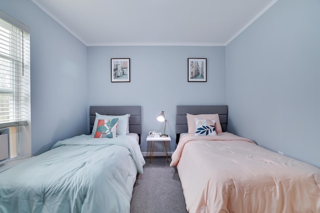 5175 White Birch Dr, Long Pond, PA 18334 - carpeted bedroom with ornamental molding and baseboards