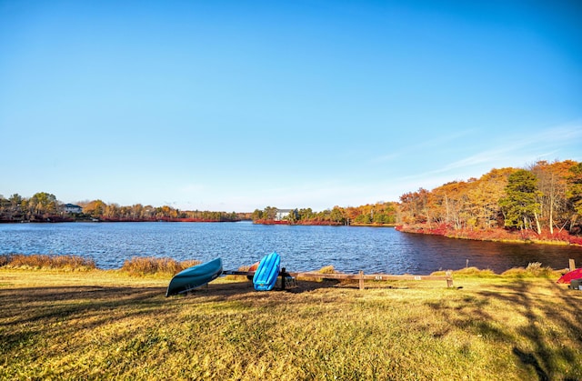 5175 White Birch Dr, Long Pond, PA 18334 - water view