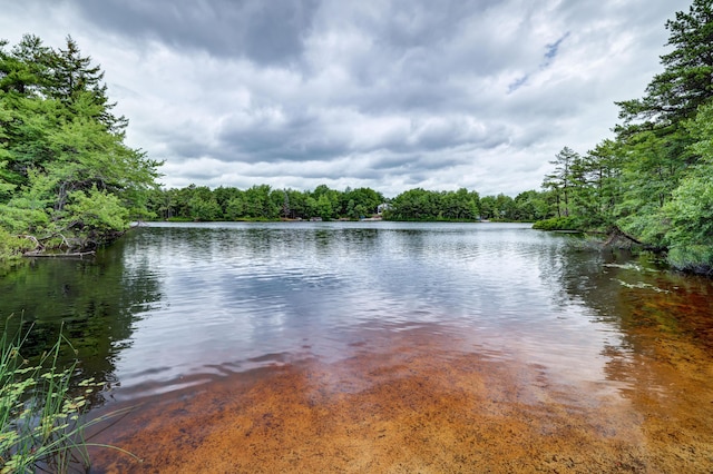 5175 White Birch Dr, Long Pond, PA 18334 - water view featuring a forest