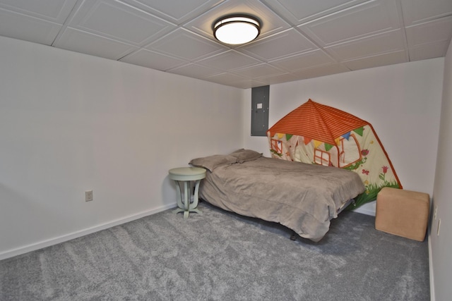 72 Chickadee Ln, Albrightsville, PA 18210 - carpeted bedroom with baseboards and electric panel