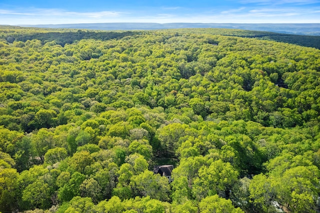 72 Chickadee Ln, Albrightsville, PA 18210 - drone / aerial view of a forest