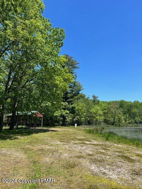 view of yard with a forest view