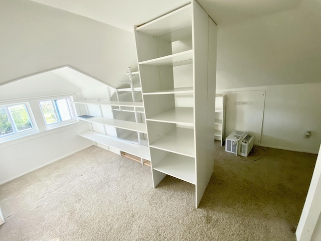 244 Learn Rd, Tannersville, PA 18372 - walk in closet with carpet
