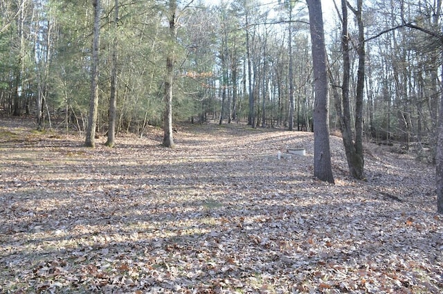 view of nature featuring a forest view