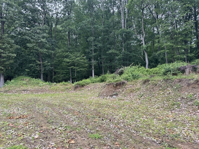 201 Saddle Creek Dr, Mount Bethel, PA 18343 - photo 6