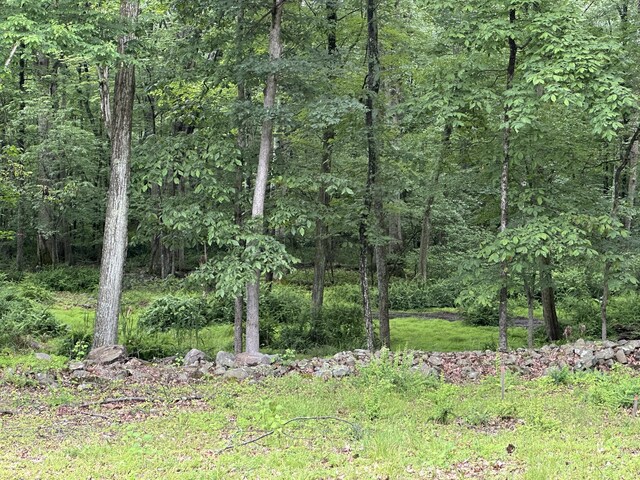 201 Saddle Creek Dr, Mount Bethel, PA 18343 - photo 7