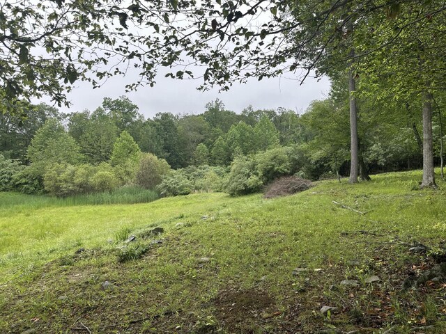 201 Saddle Creek Dr, Mount Bethel, PA 18343 - photo 9