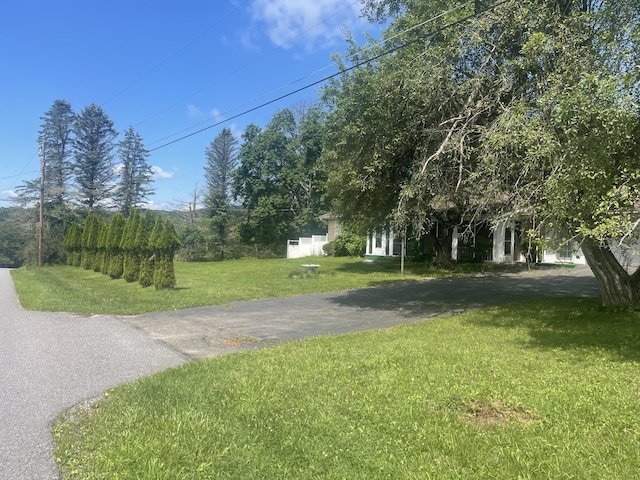 1278 Round Head Dr, Weatherly, PA 18255 - photo 17