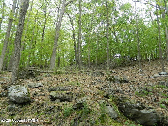 view of landscape featuring a wooded view