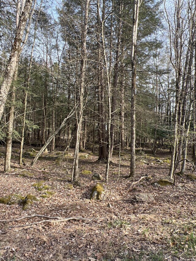 LOT814 White Pine Dr, Pocono Lake, PA 18347 - photo 3