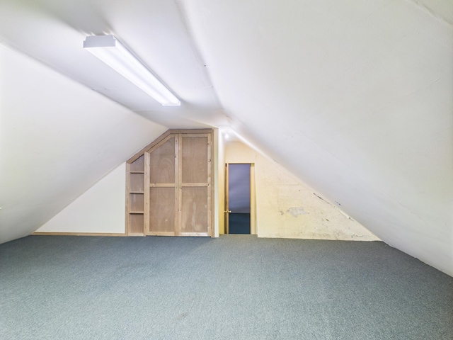 114 Oswayo Dr, Pocono Lake, PA 18347 - bonus room featuring vaulted ceiling and carpet floors