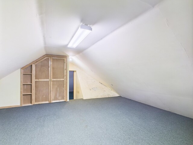 114 Oswayo Dr, Pocono Lake, PA 18347 - bonus room featuring vaulted ceiling and carpet floors