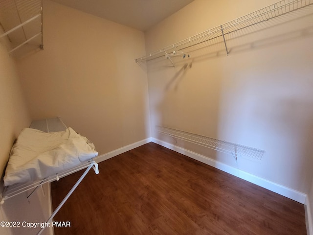 spacious closet with wood finished floors