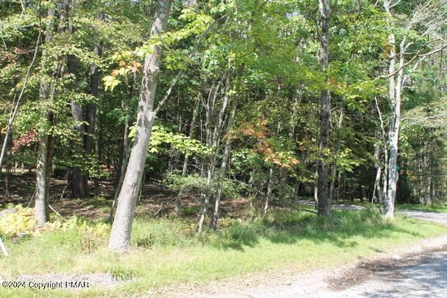 22 Omaha Trl, Pocono Lake PA, 18347 land for sale