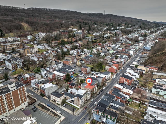 bird's eye view