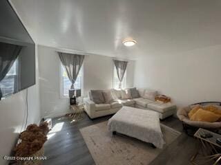 living area with wood finished floors