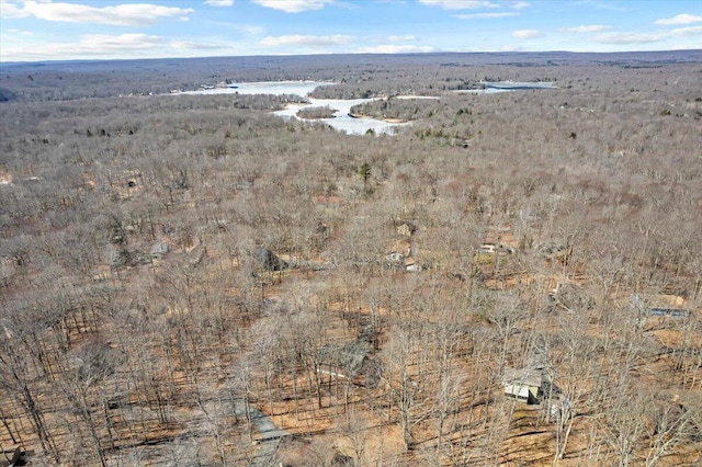 birds eye view of property with a view of trees and a water view