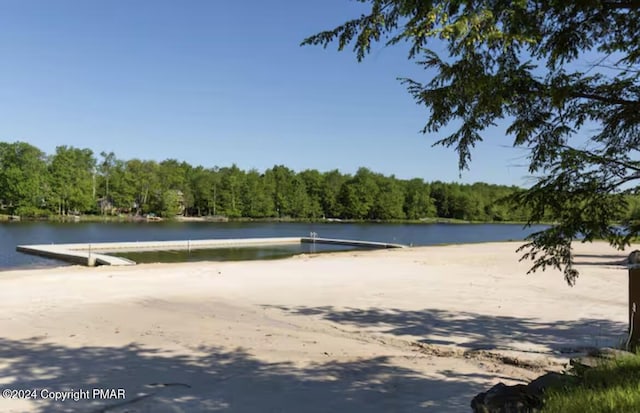 water view with a wooded view