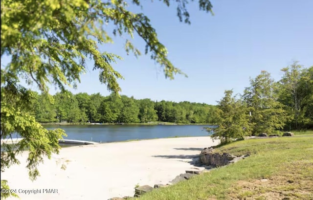 property view of water featuring a view of trees