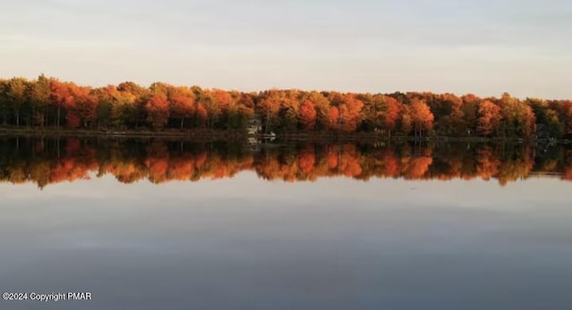 water view with a wooded view