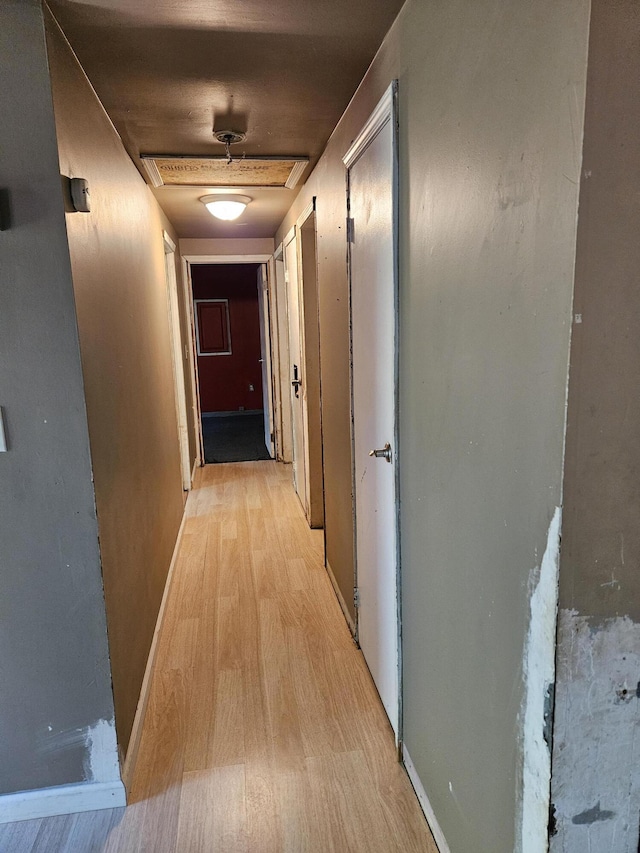 1405 Donalds Rd, Effort, PA 18330 - corridor featuring light wood-style flooring and baseboards