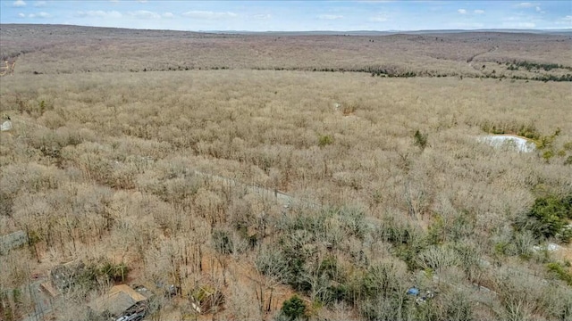 944 Old Stage Rd, Albrightsville, PA 18210 - photo 47