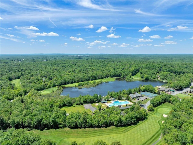 3336 Buck Run, Tobyhanna, PA 18466 - bird's eye view of a forest and a large body of water