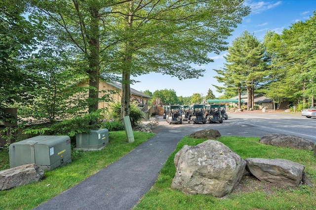 3336 Buck Run, Tobyhanna, PA 18466 - view of property's community