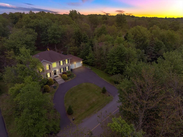 3336 Buck Run, Tobyhanna, PA 18466 - aerial view at dusk of a forest view