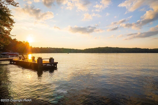 property view of water featuring a boat dock