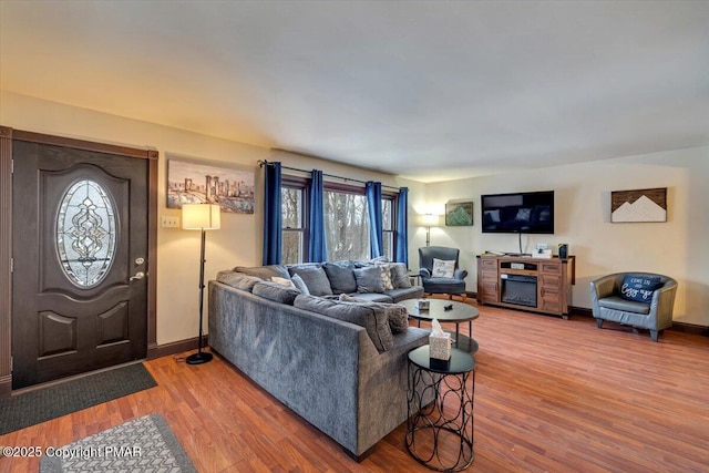 living room featuring hardwood / wood-style flooring