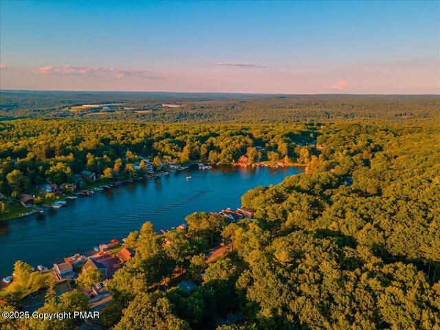 property view of water