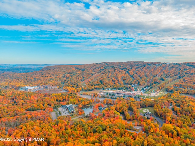 bird's eye view