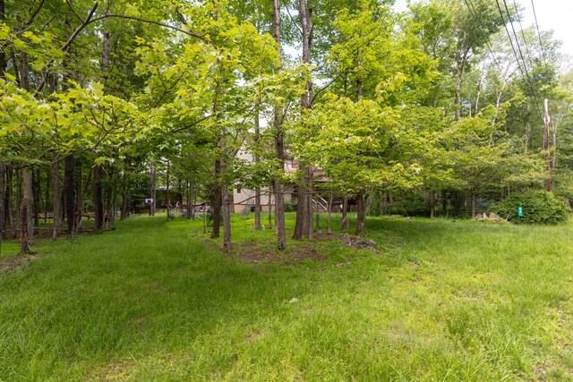 88 Wild Turkey Cir, Lake Ariel, PA 18436 - view of yard