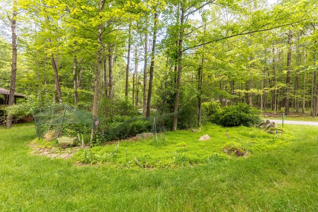 88 Wild Turkey Cir, Lake Ariel, PA 18436 - view of yard with a forest view
