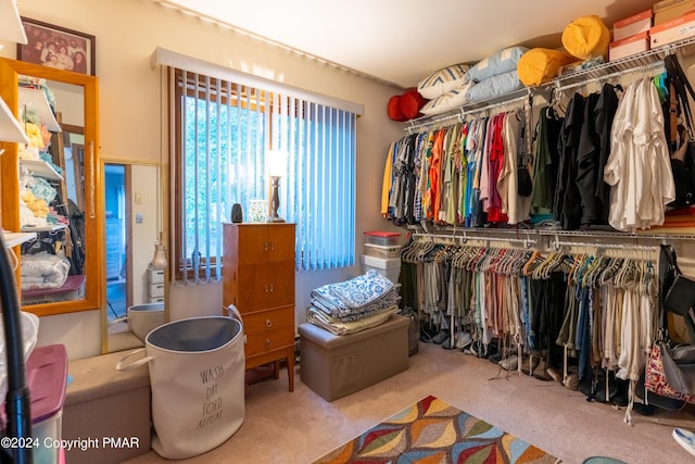 spacious closet with carpet