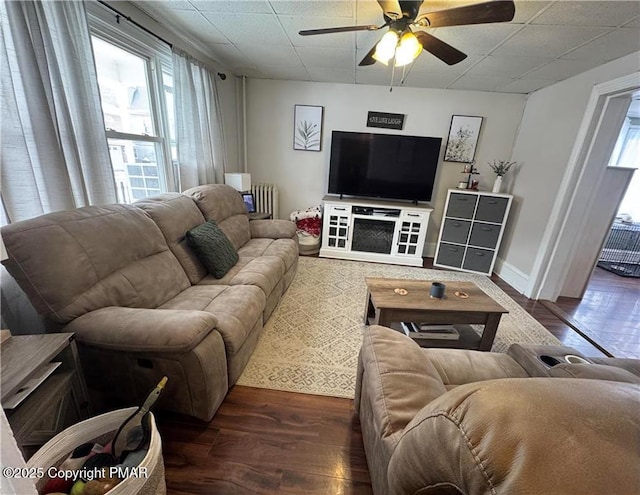 living room with a paneled ceiling, radiator, dark wood-type flooring, and ceiling fan