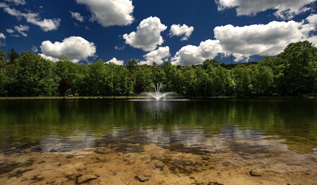 210 Dover Dr, Bushkill, PA 18324 - water view with a forest