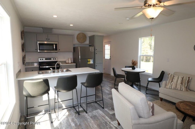 kitchen with appliances with stainless steel finishes, open floor plan, a kitchen breakfast bar, gray cabinets, and light countertops